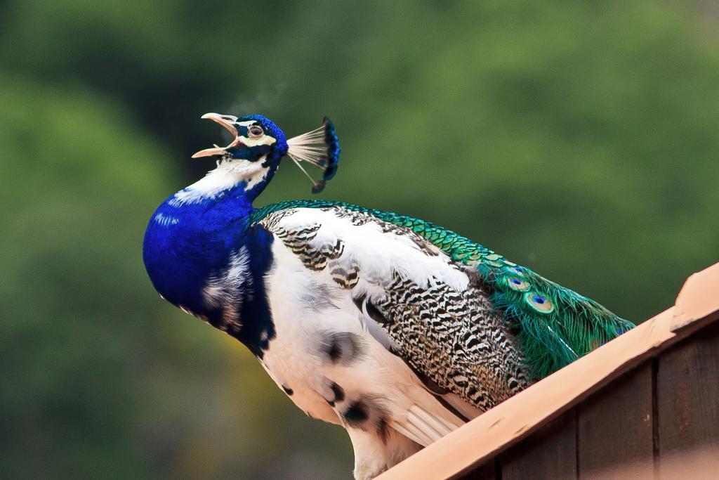 Motta Camastra アグリトゥーリズモ サン カタルドヴィラ エクステリア 写真