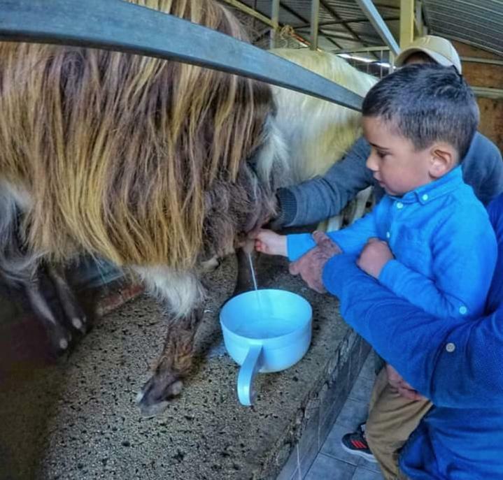 Motta Camastra アグリトゥーリズモ サン カタルドヴィラ エクステリア 写真